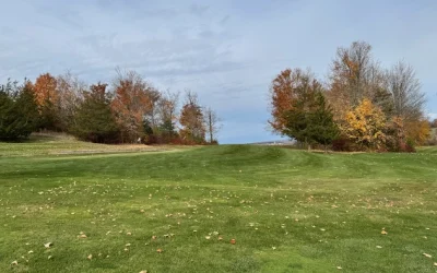 November 2025 Newsletter